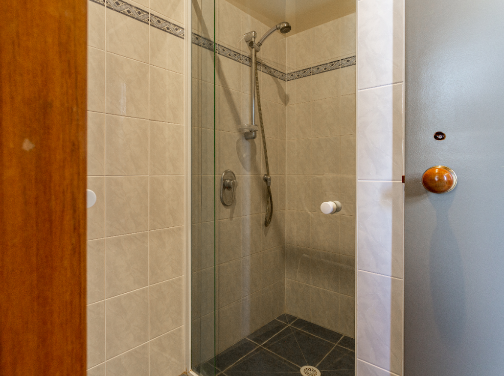 Walk-in shower