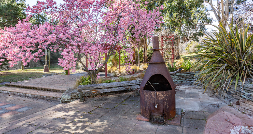 Garden fire pit area